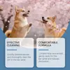 Solução de Limpeza de Ouvido para Pets EelJoy: Limpa a sujeira do ouvido, remove odores e deixa os ouvidos secos, confortáveis e limpos.. Adequado tanto para cães quanto para gatos
