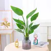 Planta de Ave del Paraíso Hidropónica en Maceta para Escritorio, Estilo Nórdico, Planta de Interior Perenne, Hojas Grandes, Cultivada en Agua, Tolera la Sombra, para Sala de Estar