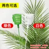 Suporte Moldador para Buquê de Plantas Suculentas Verdes, Fixador de Haste Longa Plástico Oco para Suporte de Flores, Acessórios para Embalagem de Plantas em Vasos DIY
