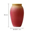Vaso Pequeño con Gradiente Escarchado al por Mayor Arreglo Floral Manualidad Mueble de TV Adornos Florales Decoración del Hogar Adornos de Escritorio