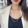 Chapado al Vacío 18K Cadena Dorada de Hueso de Serpiente de Capas Múltiples para Mujer Temperamento Doble Capa Cadena para Suéter Empaque Individual Collar Punk