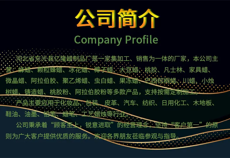 公司简介2.jpg
