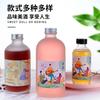 Garrafa de Vidro para Vinho de Frutas 500ml Transparente Garrafa Vazia Garrafa para Chá de Leite Garrafa para Suco Café Bebida Fosca Portátil Selada