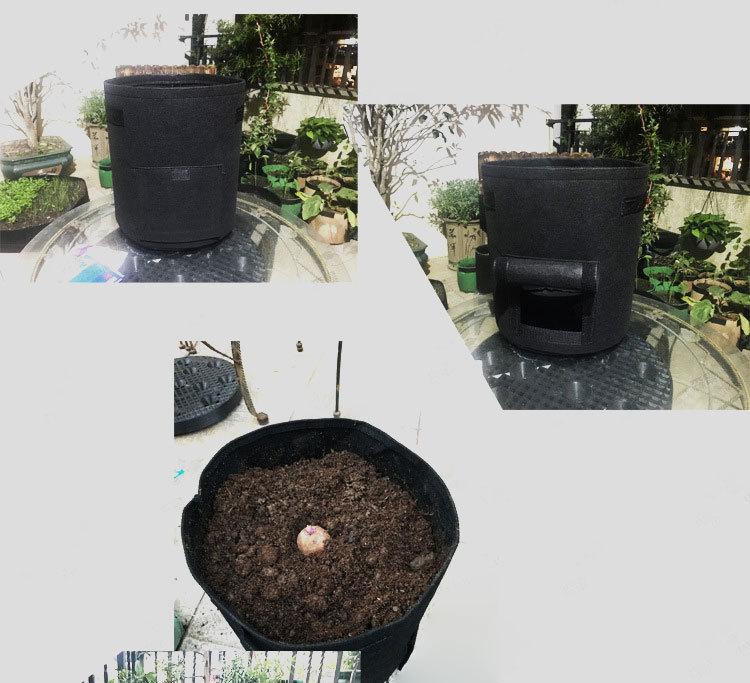 10704427442_491840608