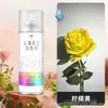 Tinta Spray que Muda de Cor para Flores em Estoque para Arte Floral e Floriculturas, Tinta Spray Autosspray em Azul Gelo e Agente Spray Colorido na Cor Ameixa