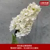Decoração de Casamento com Flores Brancas, Peônias, Phalaenopsis, Rosas, Arranjos Florais de Teto e Arranjos Florais Pretos para o Salão de Casamento