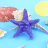 Pãozinho de cinco dedos estilo mediterrâneo estrela-do-mar decoração criativa para casa aquário tanque de peixes decoração de mesa decoração de parede