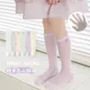 Meias de Verão Coloridas Doces Classe A Respiráveis Doces Camadas Longas de Malha Fina Sem Costura Anti-Mosquito para Meninas