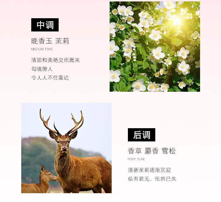未标题2_08.jpg