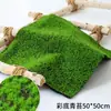 Musgo de simulação gramado grama artificial musgo falso musgo suculento micro paisagem material de decoração DIY gramado flocado musgo