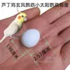 Huevos Falsos para Cría de Pájaros, Huevos de Reemplazo de Nido para Pinzones de Jade, Cacatúas, Periquitos, Pájaros Perla, Pinzones Grises, Pinzones Dorados, Pinzones Dorados, Canarios, Loros