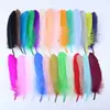 Suministros del Fabricante Manualidades DIY con Plumas Grandes, Decoraciones de Boda con Plumas, Decoraciones Hechas a Mano para Niños, Máscaras de Plumas de Ganso, Venta al por Mayor de Plumas