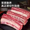 Costela Bovina de Corte Fresco Alimentada com Grãos, Peito Bovino, Ingredientes para Churrasco, Costela Bovina de Corte Fresco Congelado Cru Braisada, Bife Bovino Fresco com Osso