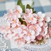 Flor Artificial Flor de Manzano Flor Falsa Flor de Begonia Begonia Pequeña Flor de Seda Hortensia de 5 Pétalos Ramo de Mesa Modelo Más Vendido Transfronterizo