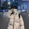 Abrigo de invierno para hombre 2022 con cuello alto, ropa gruesa tipo pan, chaqueta acolchada de algodón suelta y moderna coreana