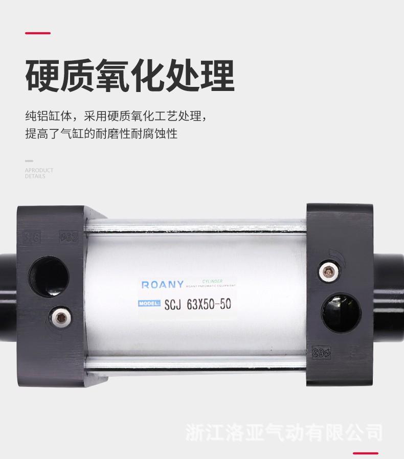 SCJ详情页2.jpg