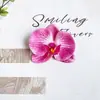 Pétalas de Orquídea Borboleta de Filme Simuladas Caixas de Presente DIY Decoração de Tiara Flores Artificiais Adereços para Fotografia de Casamento Arranjo de Fotos