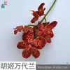 Orquídea Phalaenopsis Tacto Real 9 Flores de Orquídea Fotografía de Estudio Flores de Seda Accesorios Venta al por Mayor Transfronteriza Flores Artificiales