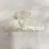 Corea del Sur Clip Grande de Ácido Acético de Alta Gama Pinza de Tiburón Elegante de Celebridad de Internet Moda Simple Y Pinza para el Cabello de la Parte Posterior de la Cabeza del Hogar