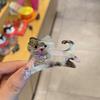 Pinza mediana para el pelo con diseño de gato y ácido acético de estilo coreano, con diseño de dibujos animados de moda para niña dulce, pinza para el pelo con forma de tiburón