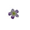 Camada Dupla Flor de 5 Pétalas Simulação Hortênsia Peça diy Material Artesanal Guirlanda Enfeites de Cabelo Acessórios Enfeite Chapéu de Palha