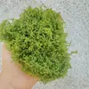 Cenário miniatura videira hera folhas galhos modelo fio de algodão malha de algodão de seda verde galhos de salgueiro caixa de areia