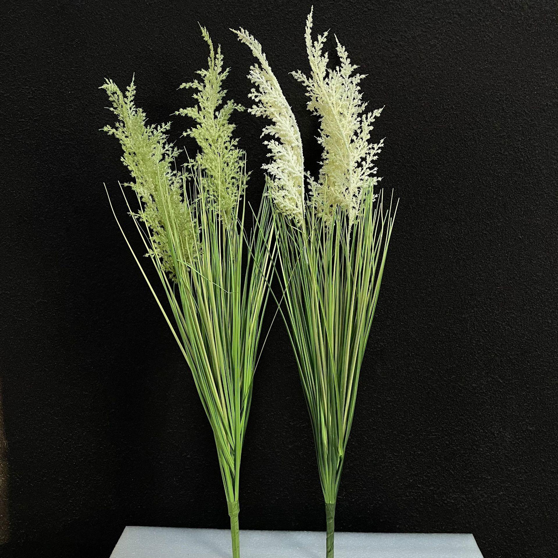 微信图片_20251027134047_310_48