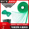 Fabricante Personalizado Nuevo Material Material PE 8*8m/10*10m Red para Jardín Forma de Diamante Red Anti-Pájaros Malla de 20*20mm