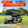 Carrito de Golf de 6 Plazas Recepción de Hotel Transporte Exterior Atracción Turística Villa Inmobiliaria Vehículo Eléctrico de Cuatro Ruedas