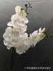 Simulação de Orquídea Phalaenopsis Japonesa de Nove Flores com Fita Adesiva Comércio Exterior Flor Artificial Falsa Decoração de Arranjo de Flores para Sala de Estar Quarto Modelo