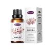 Óleo Essencial de Aromaterapia Solúvel em Água Transfronteiriço 30ml Difusor Umidificador de Ar Interno Sem Álcool Sem Fogo Líquido Refil de Aromaterapia de Plantas
