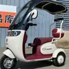 Novo Modelo de Triciclo Elétrico de Lazer com Toldo Integrado para Mulheres, Patinete Elétrico para Levar e Buscar Crianças, Atacado para Adultos