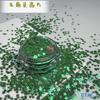 Directo de fábrica Perla mágica 2.5 mm estrella de cinco puntas Parche con forma especial para decoración de uñas con purpurina Reflector para maquillaje de escenario