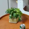 Conjunto de Vasos de Vidro com Rattan Artesanal Transfronteiriço com Flores Secas, Decoração Suave, Conjunto de Vasos de Vidro Hidropônico com Pothos, Decorações Trançadas Retro