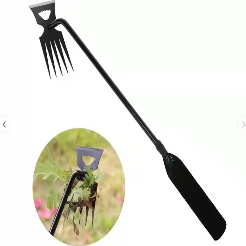 微信图片_20250609123838