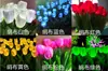 Luces de Suelo Impermeables para Exteriores con Energía Solar tipo Espiga de Arroz Tulipán, Luces de Paisaje Mar de Flores y Ola de Trigo, Luces Ultra Brillantes para Acampar para Instalación en el Suelo