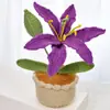 Flor de Lana Hecha a Mano Clavel Girasol Flor Tejida Flor Falsa Simulada Adorno de Escritorio Venta Caliente Transfronteriza