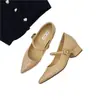 Zapatos de Mujer Estilo Francés con Punta Aguda que Aumentan la Altura 2025 Primavera Nuevos Retro Versátiles Elegantes de Correa Única con Tacón Grueso Zapatos Mary Jane
