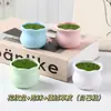 Plantas em Vasos Simuladas com Vasos de Flor de Plástico Aveludado, Vasos Decorativos de Flores Artificiais, Enfeites de Mesa, DIY Artesanal AtacadoSeleção Premium