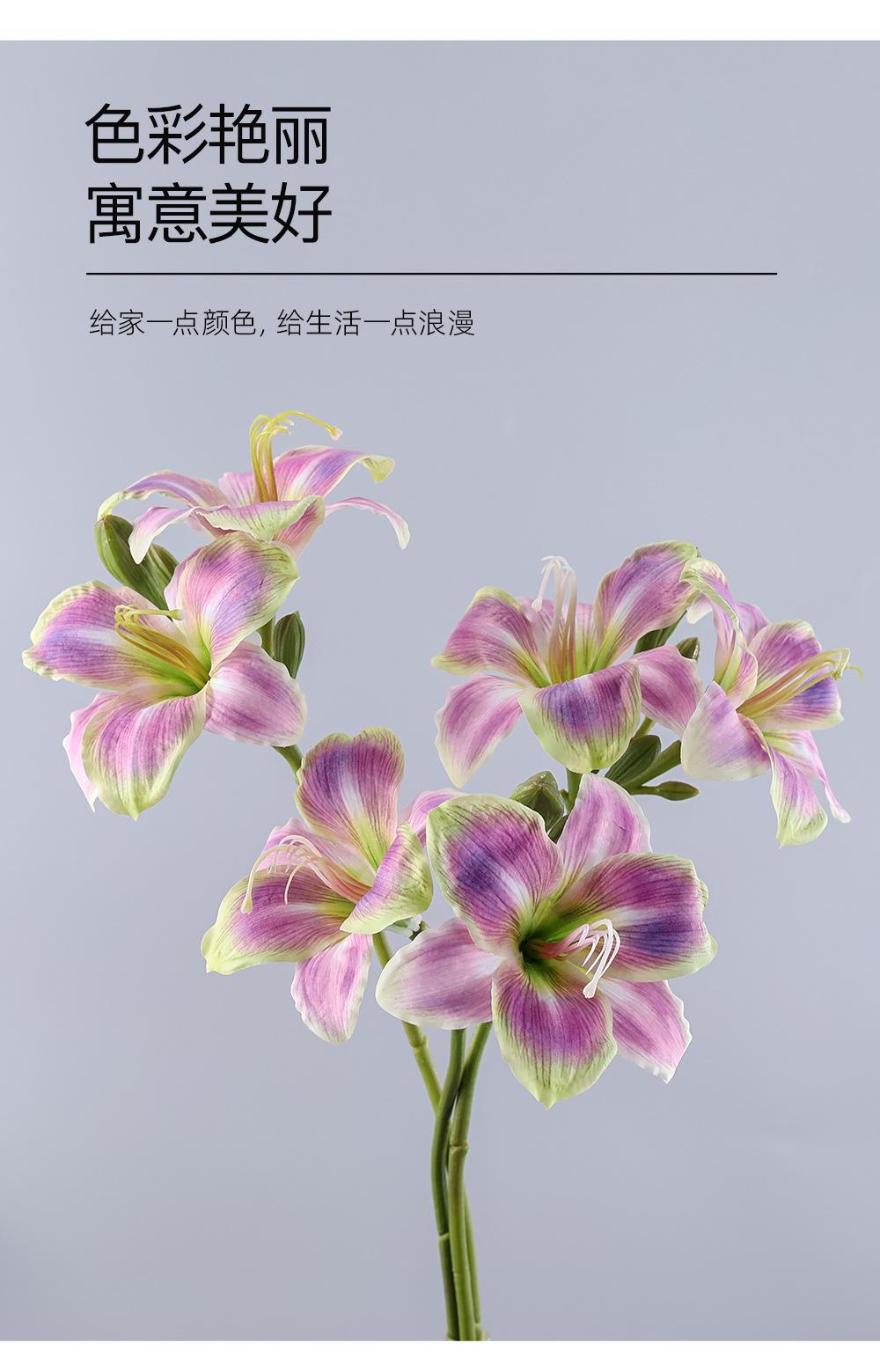 详情_06.jpg