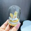 Dientes de Citrino de Cristal Natural Botella de los Deseos Adornos Racimo de Cristales de Cristal Decoración para el Hogar y la Oficina Artesanías Adornos Venta al por Mayor