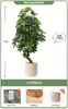 Planta Verde Artificial Spathiphyllum, Planta Verde Falsa de Lujo de Gama Alta para Interior Sala de Estar, Planta en Maceta, Adorno Decorativo Realista para el Piso