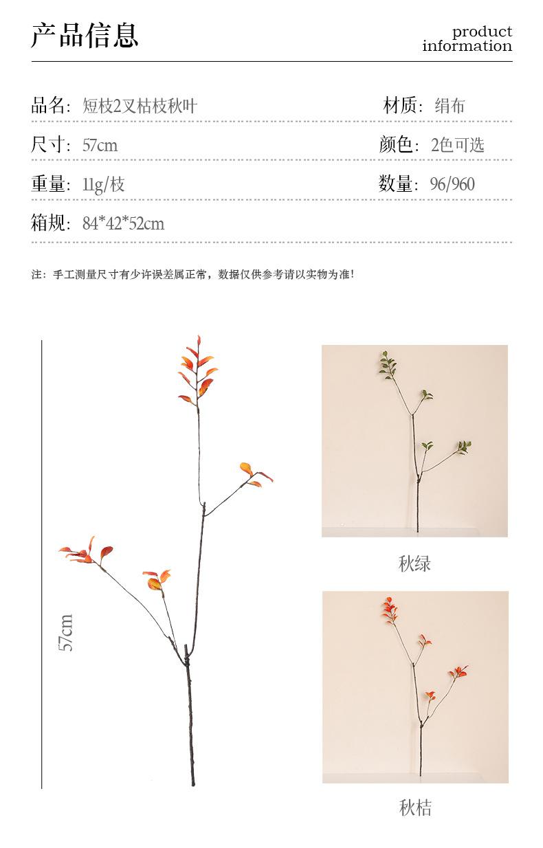 短枝2叉枯枝秋叶-长枝3叉枯枝秋叶_03.jpg