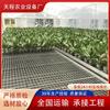 Invernadero de Granja de Frutas y Verduras Flor Marco de Aleación de Aluminio Galvanizado por Inmersión en Caliente Semillero Marco de Plantación Semillero Fijo