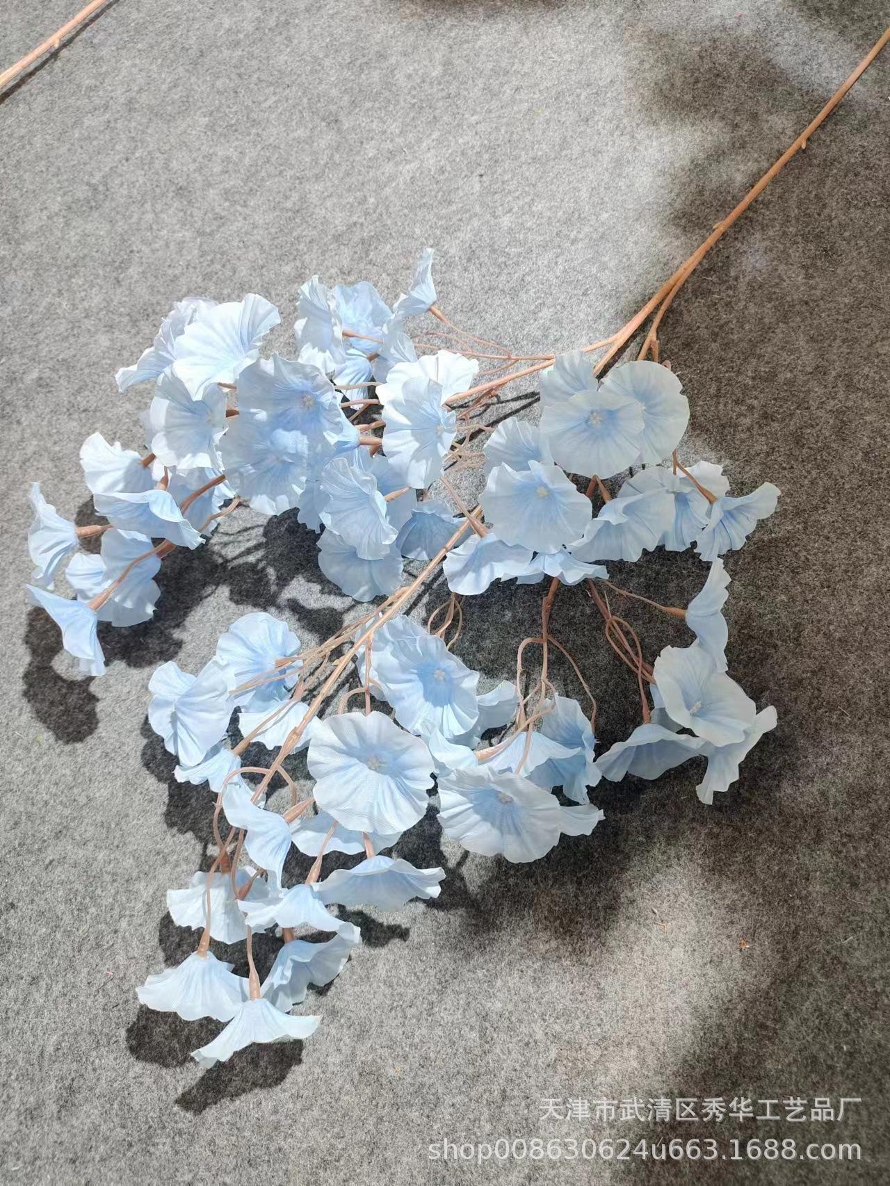 偻兰浅蓝