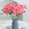 Venta de Liquidación de Rosas y Tulipanes, Liquidación de Excedente de Stock, Hallazgos de Oportunidad de Puestos Callejeros, Liquidación de Precio Especial de Exportación, Girasol