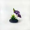Nuevo Macetero Negro Piedra 3 Flores Phalaenopsis Suculenta Bonsái Flor Suministro Directo del Fabricante Moderna Decoración del Hogar