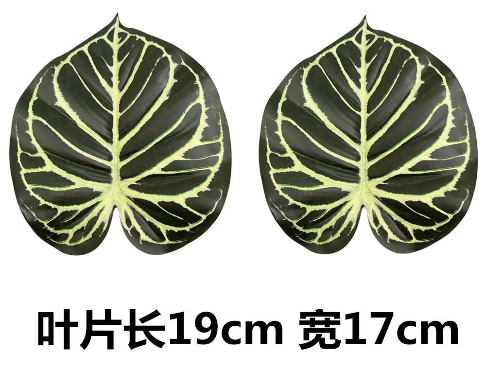 未命名_副本25