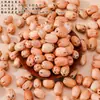 Material de cascabel de cáscara de fruta natural para accesorios de cuentas de llavero DIY hechos a mano, accesorios de pulsera, material de colgante de carillón de viento creativo