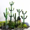 Cactus Falso Simulado Planta Verde en Maceta Florero Decorativo Adornos Pared de Fotos Fondo Simple Planta del Desierto Bonsái